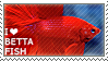 I heart betta fish