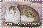 Cats are purrfect!